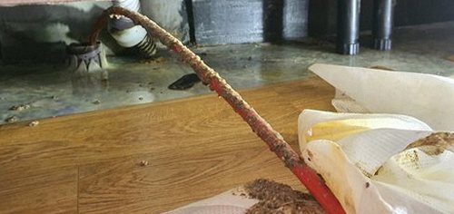 부천 하수구막힘 배수 상태를 점검하는 순서를 정리한 체크 흐름